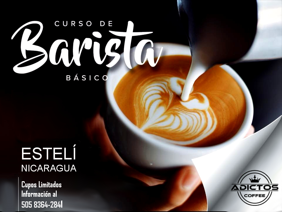 Curso De Barismo Básico, Inicia El 2019 Con Una Nueva Habilidad ...